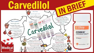 Carvedilol  Coreg  What is Carvedilol Used For Dosage Side Effects amp Precautions [upl. by Helsa429]