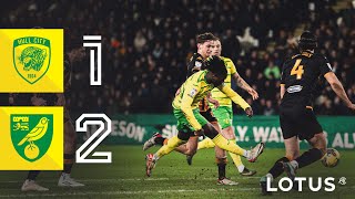 HIGHLIGHTS  Hull City 12 Norwich City [upl. by Egiaf550]