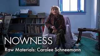 Raw Materials Carolee Schneemann [upl. by Dede]