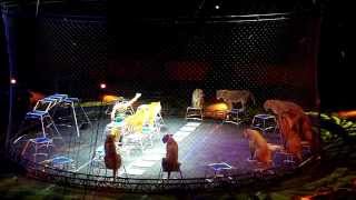 Ringling Brothers Circus Alexander Lacey 2814 Greensboro Coliseum NC [upl. by Yatnahs284]