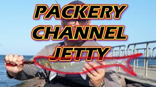 Packery Channel Jetty Fishing [upl. by Parke]