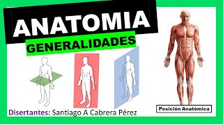 ▌ANATOMÍA ▌INTRODUCCIÓN Y GENERALIDADES Posición Anatómica  Planimetria ▌💀 [upl. by Anatlus]