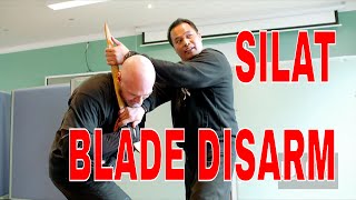 BLADE DISARM SILAT Suffian MAUL MORNIE [upl. by Hare428]