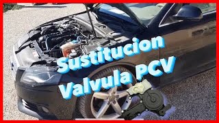 CAMBIAR VALVULA PCV  A4 B8 consume aceite  Humo blanco [upl. by Ahsiadal417]