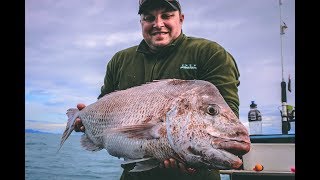 Flog 15  Tasman Bay Big Snapper [upl. by Birk]