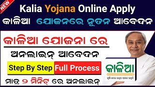 Kalia Yojana Online Apply 2024  Kalia Yojana Online Registration  Kallia Yojana New Apply [upl. by Perrine924]