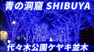 青の洞窟 SHIBUYA amp クリスマスマーケット（代々木公園ケヤキ並木 ） [upl. by Alohs]