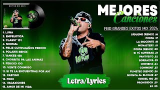 Feid 2024 LetraLyrics  Mejores Canciones de Feid  Grandes Éxitos De Feid  Mix Reggaeton 2024 [upl. by Crandell620]