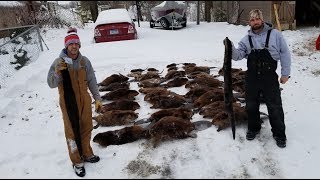 Winter Beaver Trapping at its Best [upl. by Charo]