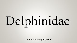 How To Say Delphinidae [upl. by Doralynn193]