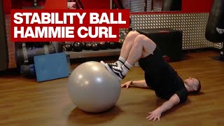 Bodyweight Leg Curl Stability Ball [upl. by Nehr]