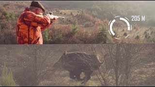 ATA ARMS TURQUA 308 WIN RIFLE WILDBOAR HUNTING [upl. by Annmarie489]