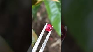 Spinel đỏ Tl 119 ct Có rạn âm Giá 1m [upl. by Kendell795]