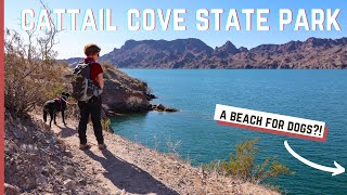 DOG FRIENDLY Lake Havasu  Exploring Cattail Cove State Park  Fulltime RV [upl. by Haliled]