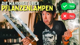 Pflanzenlampe 🤯 Hui oder Pfui  Wie viel Licht braucht deine Pflanze [upl. by Mcgill]