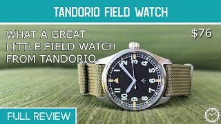 Tandorio Field Watch full review [upl. by Ihp]