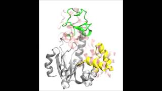 Scientific Reports  Energetics and Structural Characterization of the largescale Functional [upl. by Ardied]