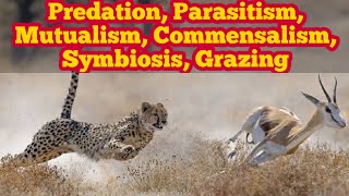 Predation Parasitism Symbiosis Mutualism Commensalism and Grazing  Biology 12th  Chap 25 [upl. by Cochrane]