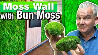 How to Make a Moss Wall with Bun Moss [upl. by Naaman]