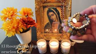 Como poner un altar para la Virgen de Guadalupe [upl. by Baecher]