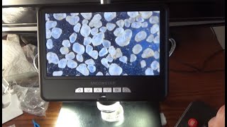 Andonstar AD207SPro Digital Microscope Review [upl. by Alor]