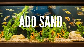 How to Add Sand into An Established Aquarium [upl. by Onailimixam]