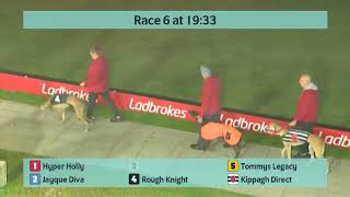 Crayford Greyhounds Races on 22nd October 2024 [upl. by Nnod]