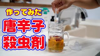 【自然農薬】アブラムシ アオムシ ハダニ対策 家庭菜園用虫よけ剤！無害殺虫剤の作り方！お酢 唐辛子 にんにくで手作り無害殺虫剤を作ってみた [upl. by Araldo]