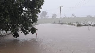 Regency downs flooded 25022022 [upl. by Mcneely135]