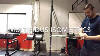 Multifidus Isometrics  Peak Physiotherapy and Performance [upl. by Adnilemre]