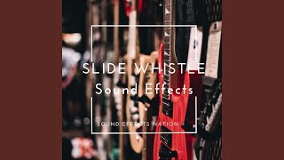 Slide Whistle Sound Effects [upl. by Biddick965]