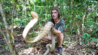 Worlds Most VENOMOUS Snakes DOCUMENTARY King CobraInland TaipanReticulated Python [upl. by Burnie]