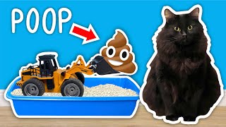 I Built A CAT POOP Cleaning Contraption [upl. by Denman]