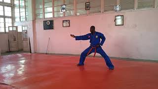 Vovinam viet Vo dao Sénégal Nhap Mon Quyen [upl. by Ellasal110]