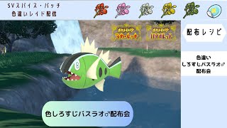 【ポケモンSV】色違いしろすじバスラオ♂配布会【自動レイド 参加自由】 [upl. by Aicilaana414]