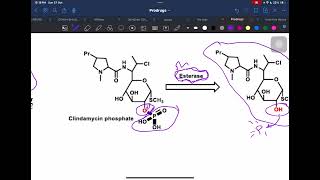 ProDrug p5 [upl. by Ahtanamas]