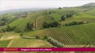 SORDO 100 YEARS OF BAROLO [upl. by Rafaela]