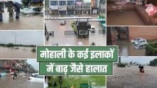 Mohali Phase 11 भारी बारिश के कारण बाढ़ जैसे हालात Flood Like Situation In Mohali [upl. by Ives]