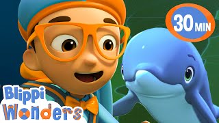 Dolphins  Blippi Wonders Fun Cartoons  Moonbug Kids Cartoon Adventure [upl. by Sinai]