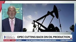 OPEC Cuts Complicate Feds Efforts [upl. by Enyale]