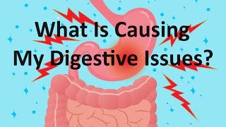 What Is Causing My Digestive Issues Includes some ranting [upl. by Azaleah119]