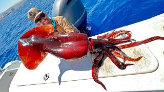 I Caught a Giant Squid in the Middle East [upl. by Jarlath]