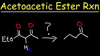 Acetoacetic Ester Synthesis Reaction Mechanism [upl. by Miller]