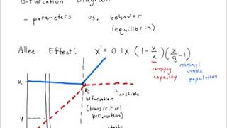 Worksheet 21 Interpreting Bifurcation Diagrams [upl. by Drona]