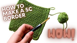 How To Single Crochet a Blanket Border  PERFECT FOR BEGINNERS [upl. by Olivero]