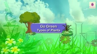 Go Green  Types of Plants  Science Grade 1  Periwinkle [upl. by Eiznikam811]