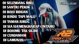 DJ FULL ALBUM DANGDUT JAWA  SELENDANG BIRU  BY R2 PROJECT [upl. by Morena513]