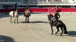 Lunel 2022  Léa Vicens entre dans les arènes de Lunel [upl. by Frans]