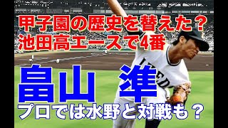 【畠山準 池田高】蔦文也監督が５回連続で甲子園に行けると語ったほどの逸材！甲子園で活躍優勝し南海ドラフト1位で入団。6年目に打者転向も結果が残せず横浜大洋移籍しホームランも魅力な打者として開花！ [upl. by Kinny]