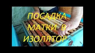 Облетники Посадка матки в изолятор [upl. by Chalmer]